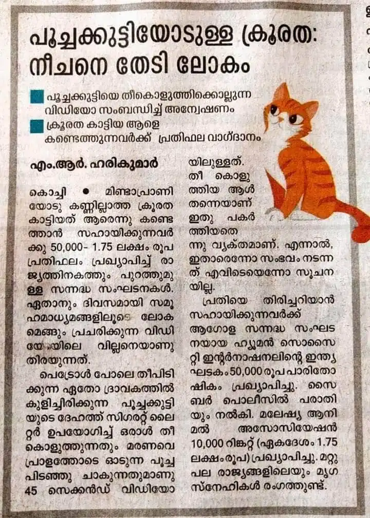 പൂച്ചകുട്ടിയെ തീകൊളുത്തിയ വാർത്ത